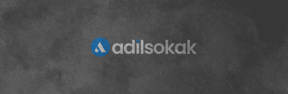 Mehmet İnci Cover Image